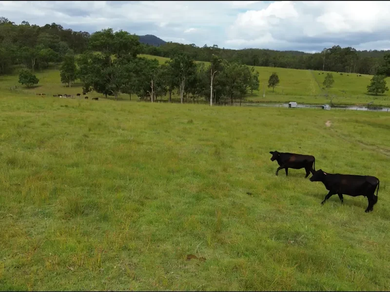 Northern Rivers farmland near Coraki