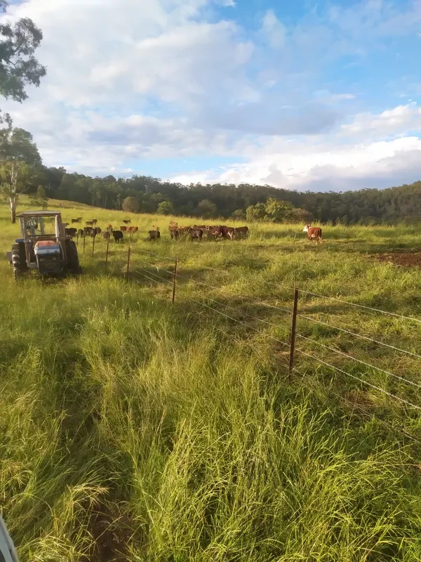 Farm photo 6