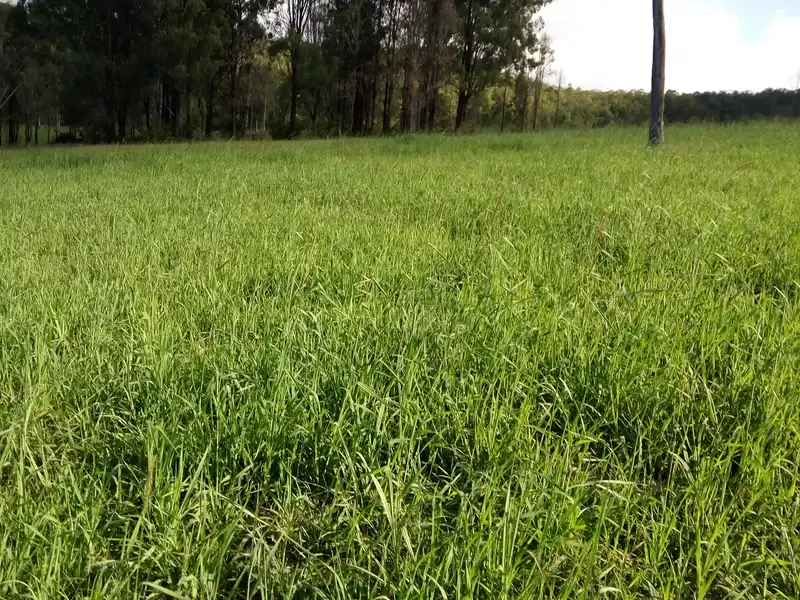 Farm photo 7